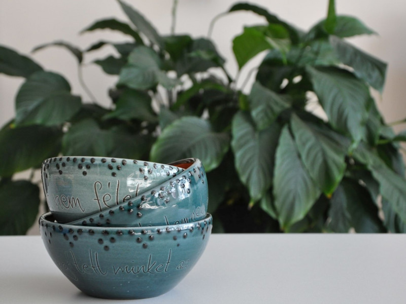 Kerámia müzlis tál